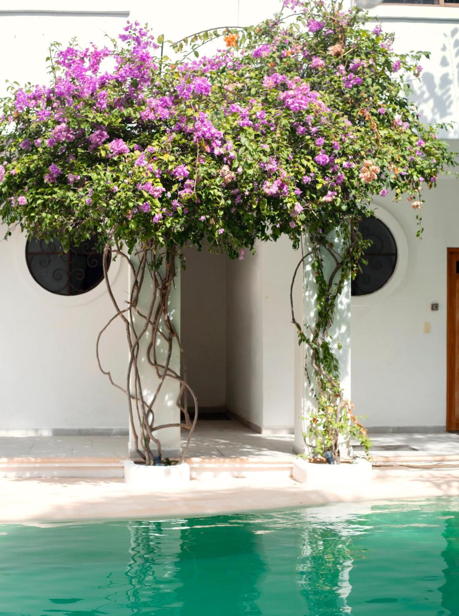 Sonido Del Mar Hotel Boutique & Yoga Loft Tulum Eksteriør bilde